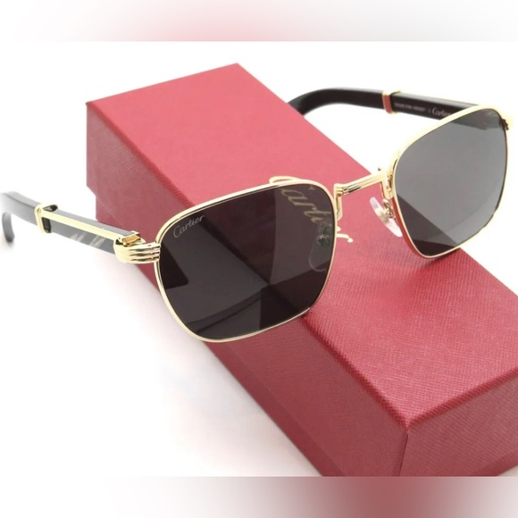 Cartier | Accessories | Cartier Buffs Ct363s 00 Goldblack Buffalo Horn ...